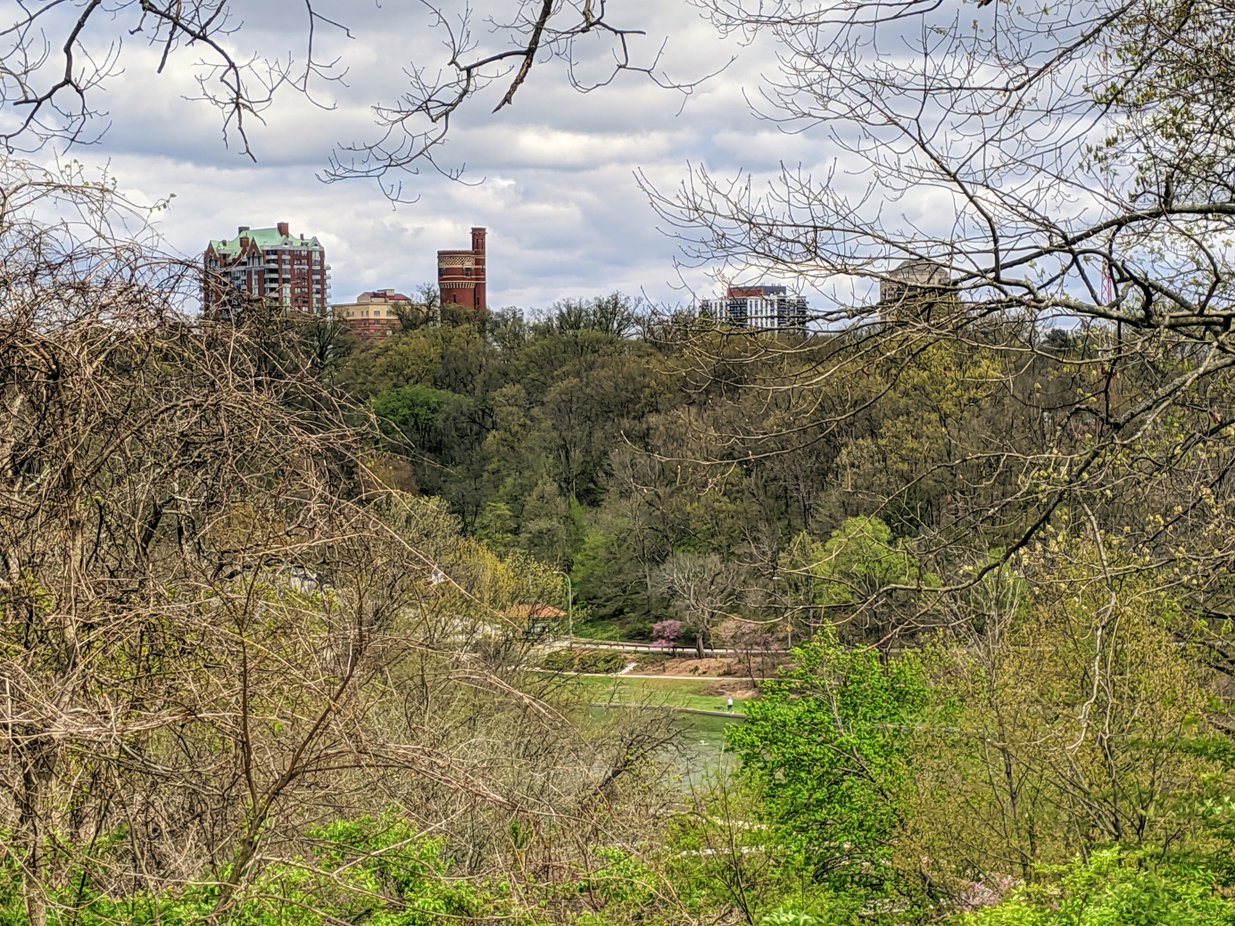 Scene In Walnut Hills From The Playhouse In The Park Walnut Hills 